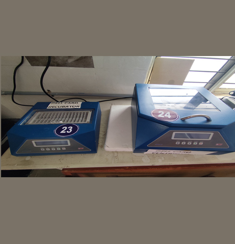 Responsive Image